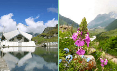 Vally of Flower and Hemkund Sahib Trek (5 Nights/6 Days)